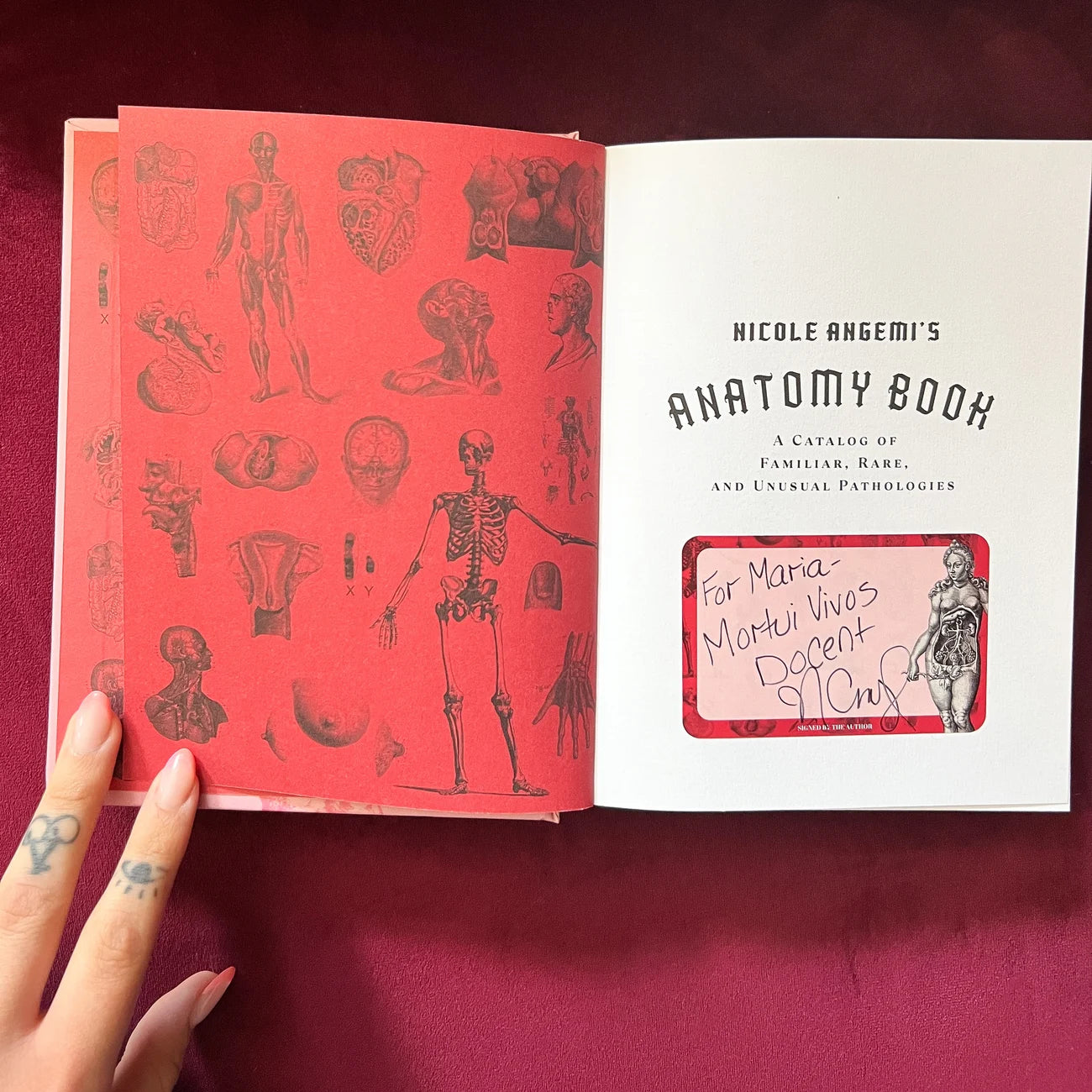 Bookplate Sticker (Includes Shipping)